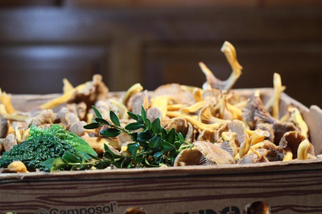 Gasthaus Hofmann Schindelsee 외부 사진